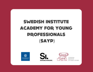 შვედეთის ინსტიტუტის აკადემია ახალგაზრდა სპეციალისტებისთვის (SAYP)