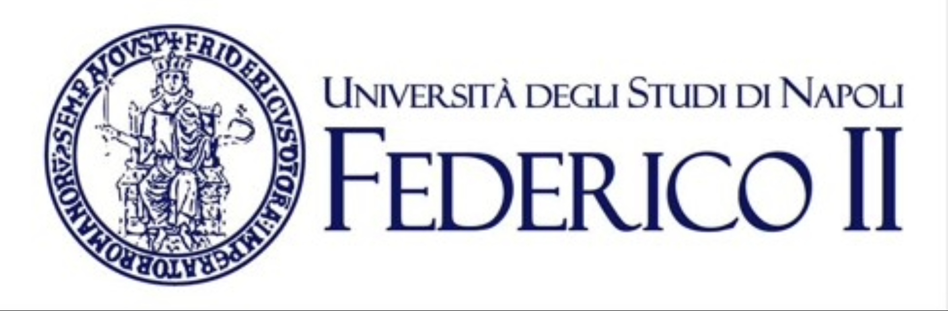 The University of Naples Federico II 