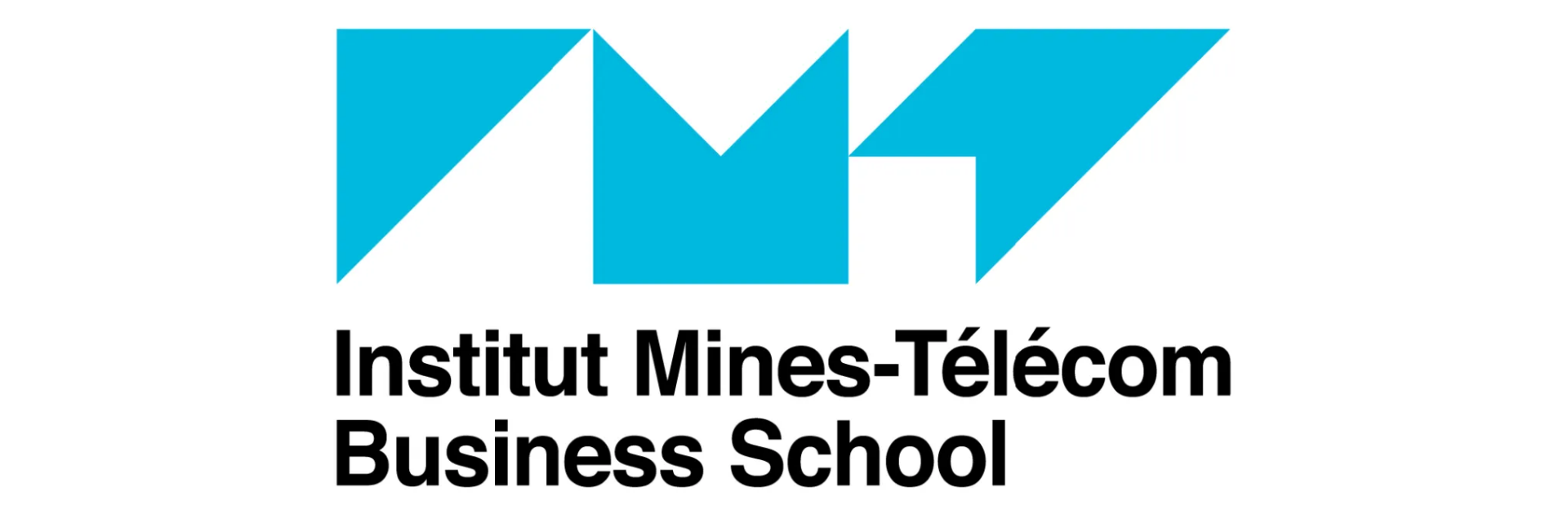 Institut Mines-Télécom Business School